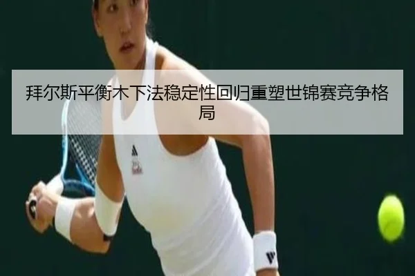 bai-er-si-ping-heng-mu-xia-fa-wen-ding-xing-hui-gui-zhong-su-shi-jin-sai-jing-zheng-ge-ju-2-379.jpg